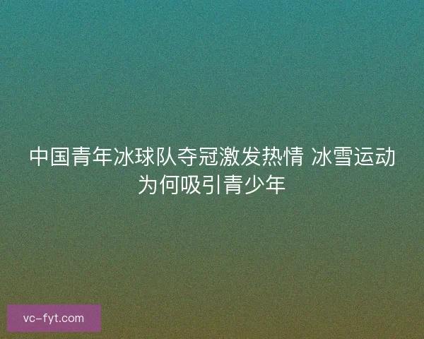 中国青年冰球队夺冠激发热情 冰雪运动为何吸引青少年