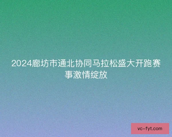 2024廊坊市通北协同马拉松盛大开跑赛事激情绽放